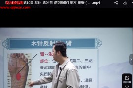 田野木針療法線上課完整版高清視頻課程46集百度網盤下載學習